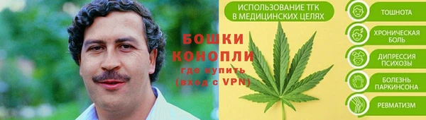 apvp Дмитриев