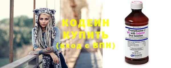 apvp Дмитриев