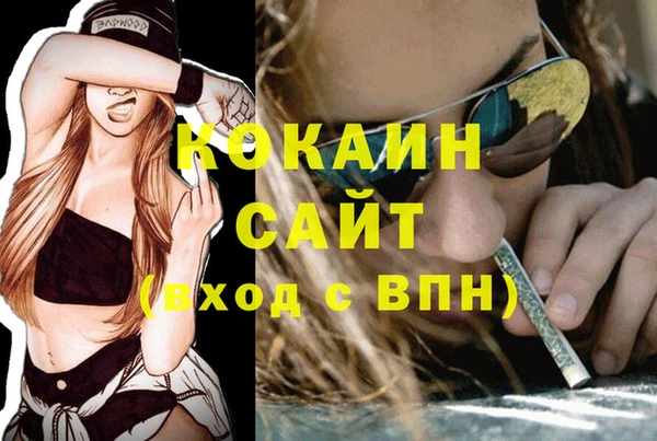 apvp Дмитриев